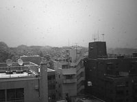 Snokyo