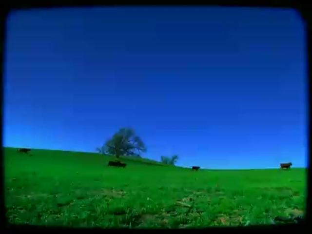 Purple Hills