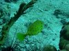 Koh Lipe, part 2