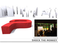 Shock The Monkey