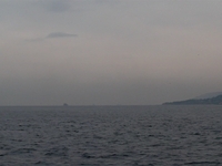 Balıkçılar, Kuşlar ve Deniz