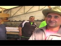 festa do viño da Ulla ( primeira hora )