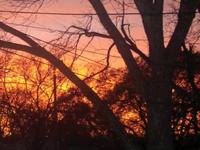 Winter Sun Setting