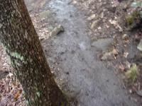 Hiking Springer Mountain - 1