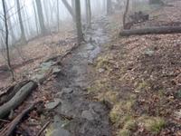Hiking Springer Mountain - 2