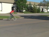 Clips of T-Rex I had sitting around.