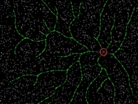 Particle Chains 2D