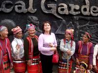The Tribal Line