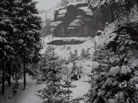 A Winter Trip