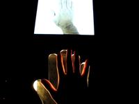 ZKM Karlsruhe / The Web of Life (2002) / Michael Gleich & Jeffrey Shaw