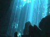 Diving in Cenotes, Mexico