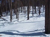 Some stiff sticks shreddin in Keystone