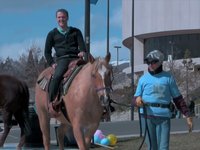 Ponies, mechanical bulls and more at Abolish ASUN event