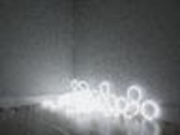 Flavin01