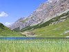 Escursione in Valle Alpisella - PNS