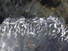 Sculture d'acqua in Alta Valtellina