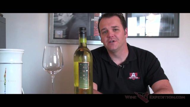 White Wine Week: 2007 Luna Napa County Pinot Grigio White Wine Week: 2007 Luna Napa County Pinot Grigio
