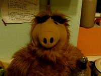 Alf