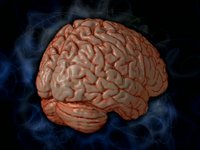 Understanding the Human Brain: Dr. Giorgio Ascoli