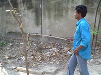 Kolkata snake crisis
