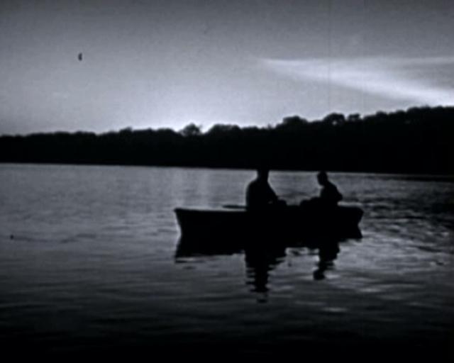 Thumbnail of video Arbol - Dreams