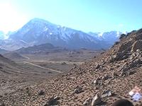 The Buttermilks