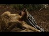 Everything Animated