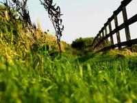 Autumn Starts - Nikon D3 stills and Magic Bullet