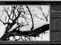 Lightroom Tutorial - Color to Grayscale