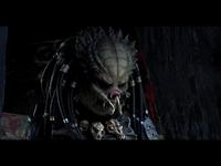 Wolf Predator Costume