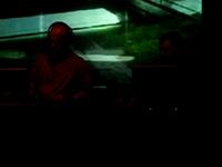 The Black Dog - Live In Utrecht