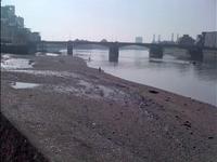 The River