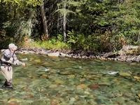 Dry Fly Heaven