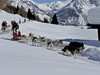 Husky Village in Arnoga