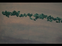 Candymation