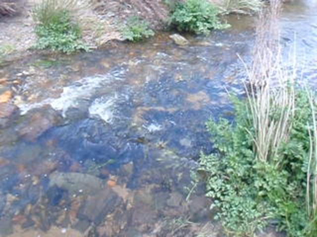 Thumbnail of video El Arroyo Grande 2