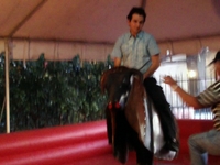 Mechanical Bull