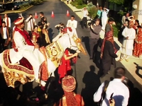 Ethnic Wedding Sample - 2008