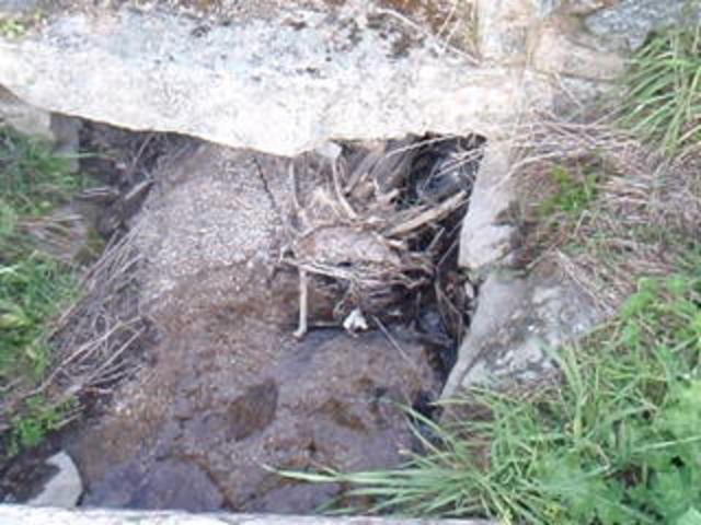 Thumbnail of video El agua de los huertos 1