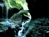 Secluded Beauty