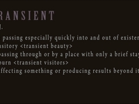 Transient