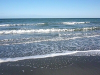 Beach Beach Ya Ya