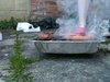 BBQ Smoke
