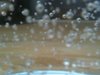 Bubbles