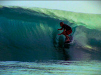 All Yew- Daniel Thomson... 動画を見る