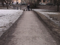 March 21 - Walking dogs