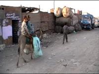 Streets of Trash City - 2