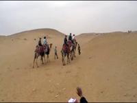 Riding Camels by the Pyramids