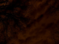 Skylapses