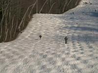 Ski Sundown Bump or Bust III Teaser
